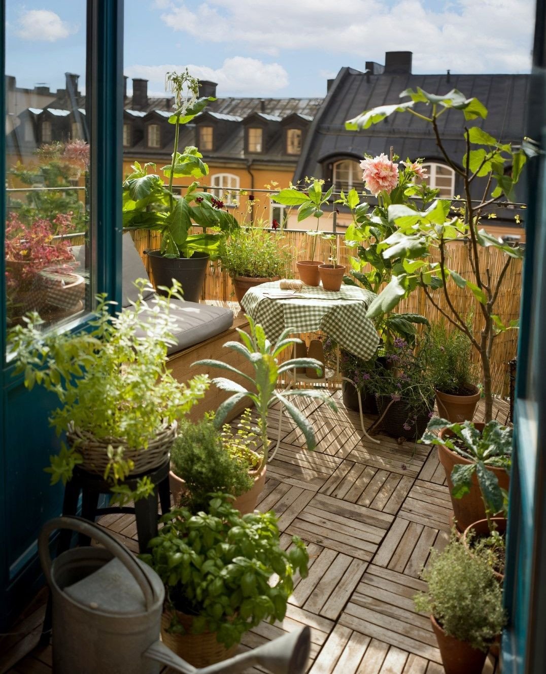 10 Balcony Garden in Sunlight