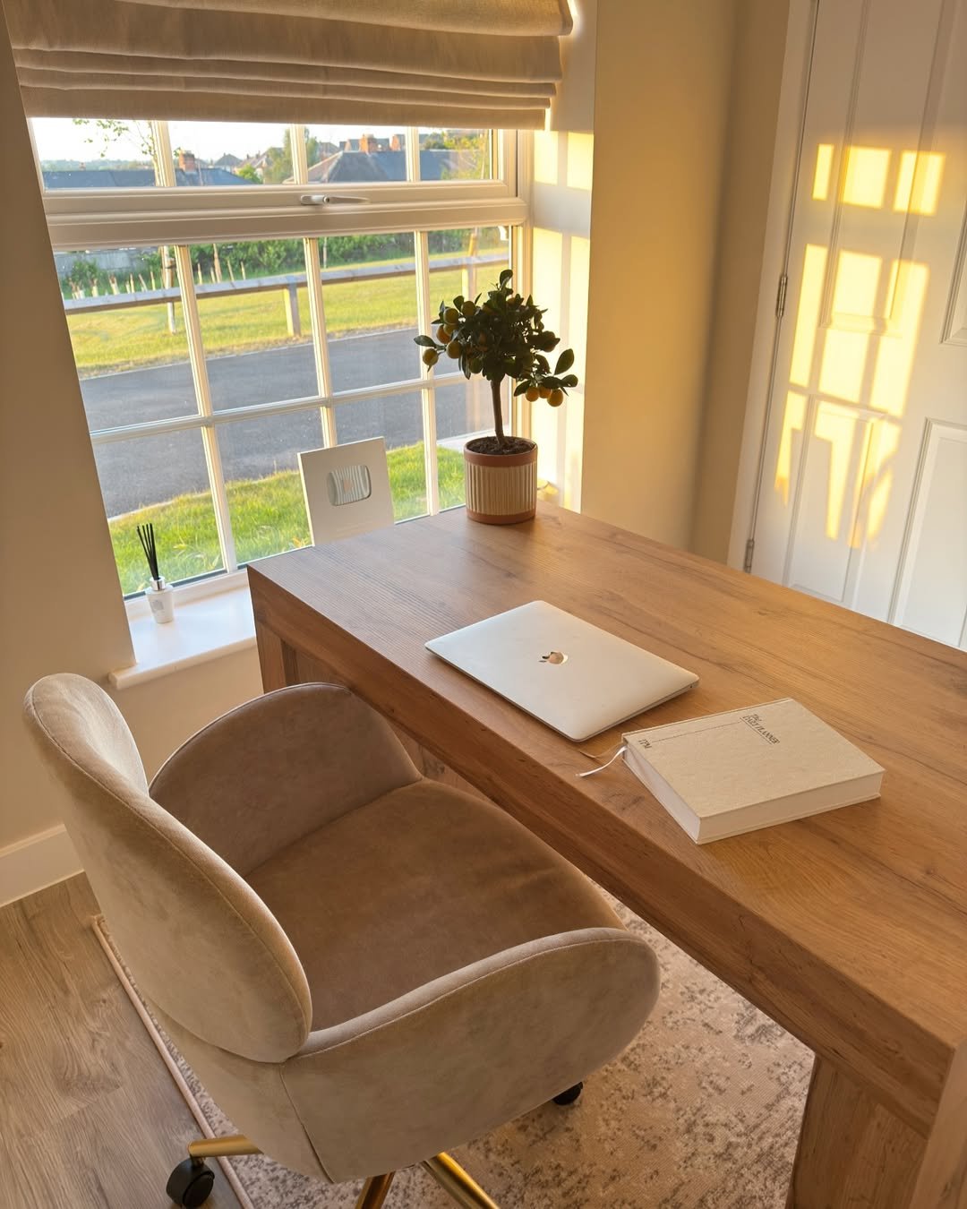 14 Workspace with Cane Detail