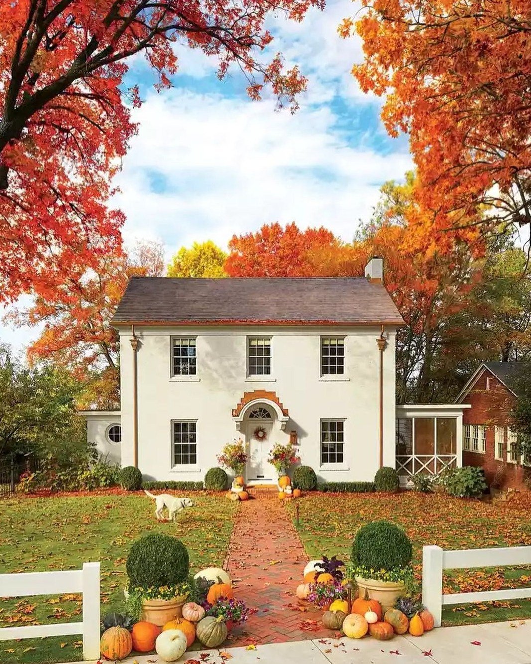 15 Fall Exterior Ideas in a Classic Colonial Style