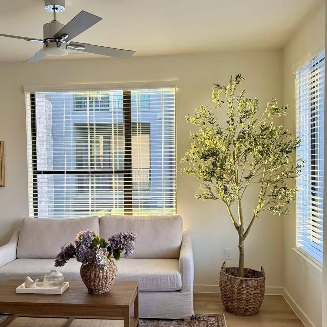 15 Plant Corner in Sunlight