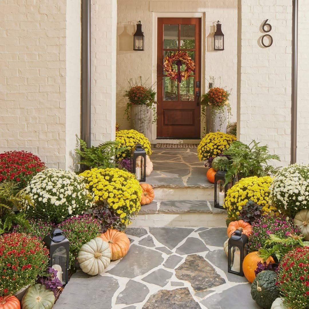 17 Autumn Mums at a Stone Entryway