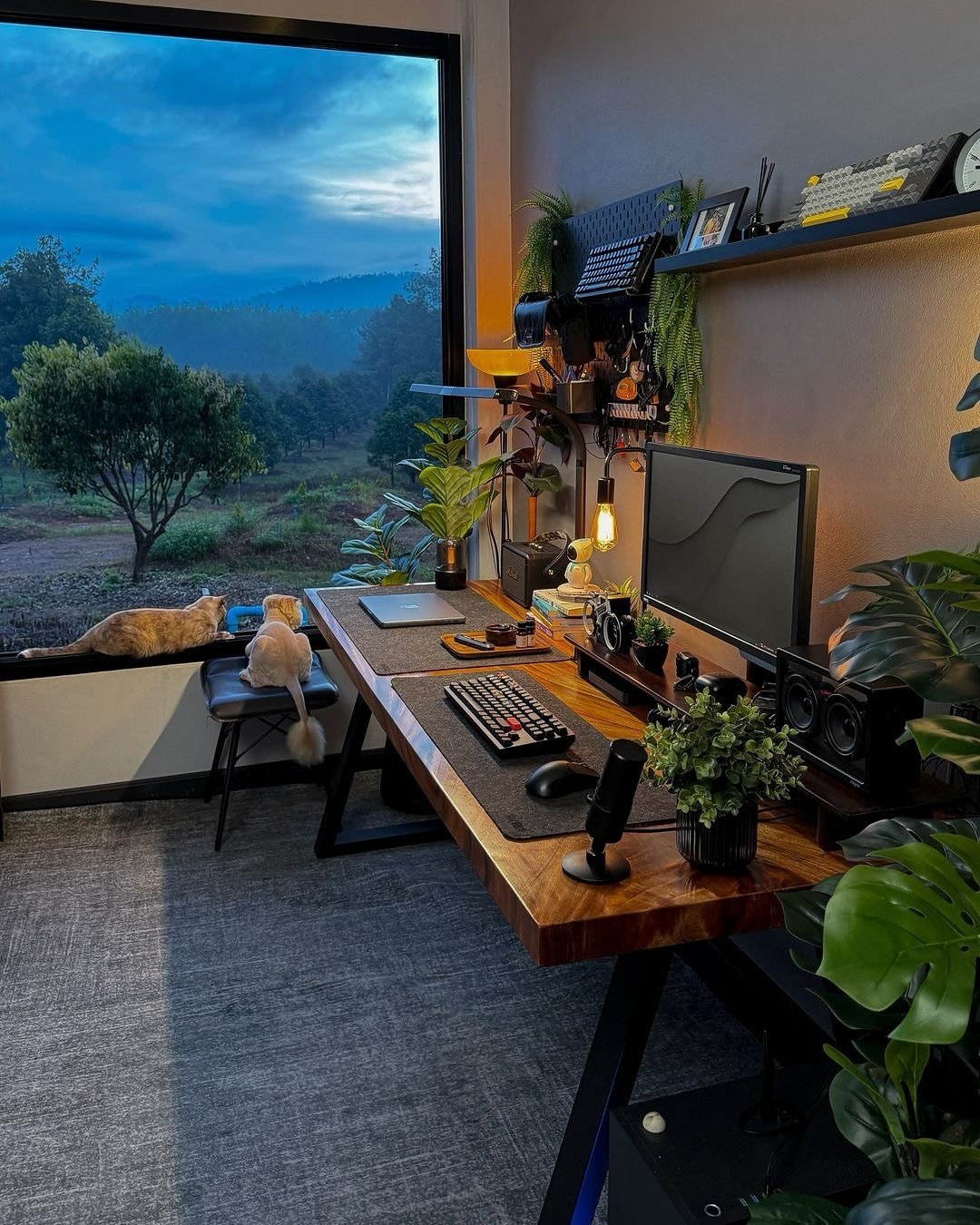 3 Moody Desk with Nature