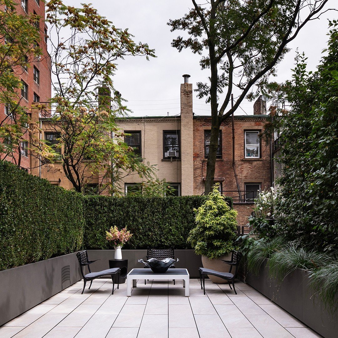 4 Sculpted Terrace Lines with Oversized Planters and Clipped Hedges