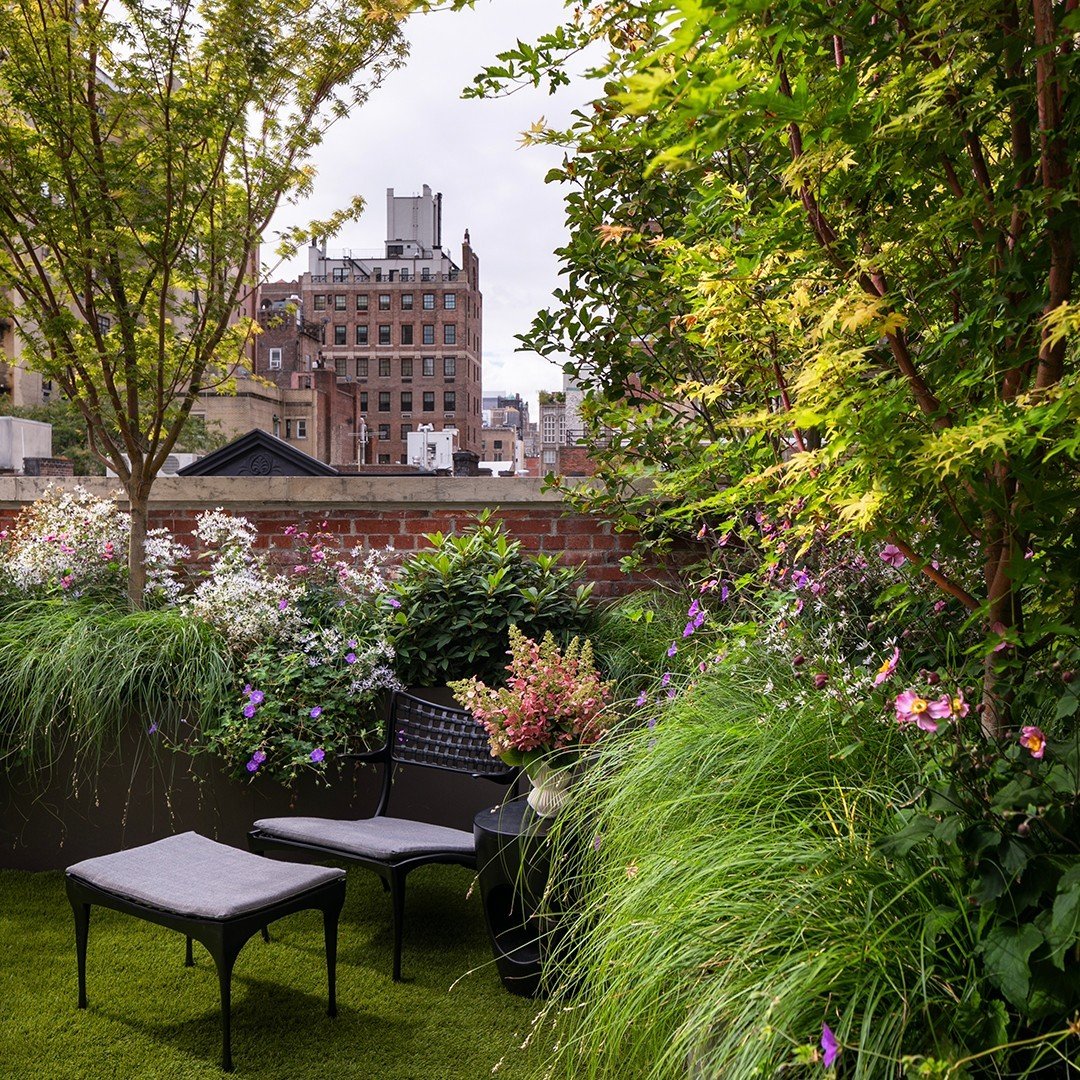 6 Lounge in a Rooftop Garden