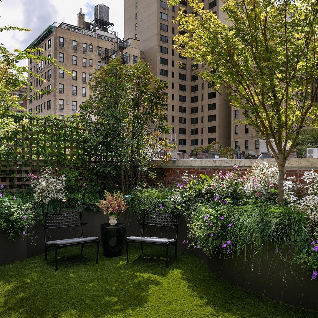 9 Canopy Over a City Garden