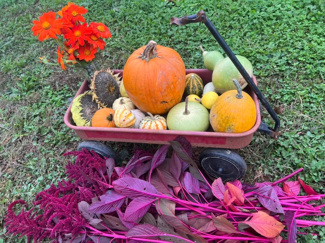 A Palette from the Garden Harvest