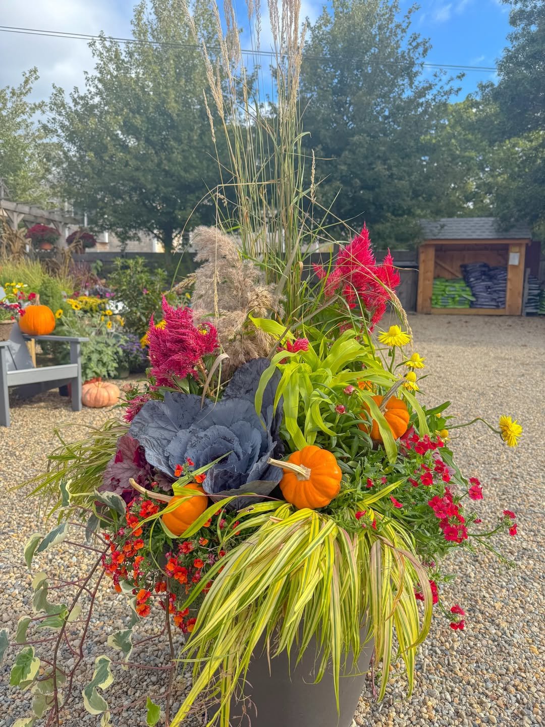 A Statement Planter for Fall