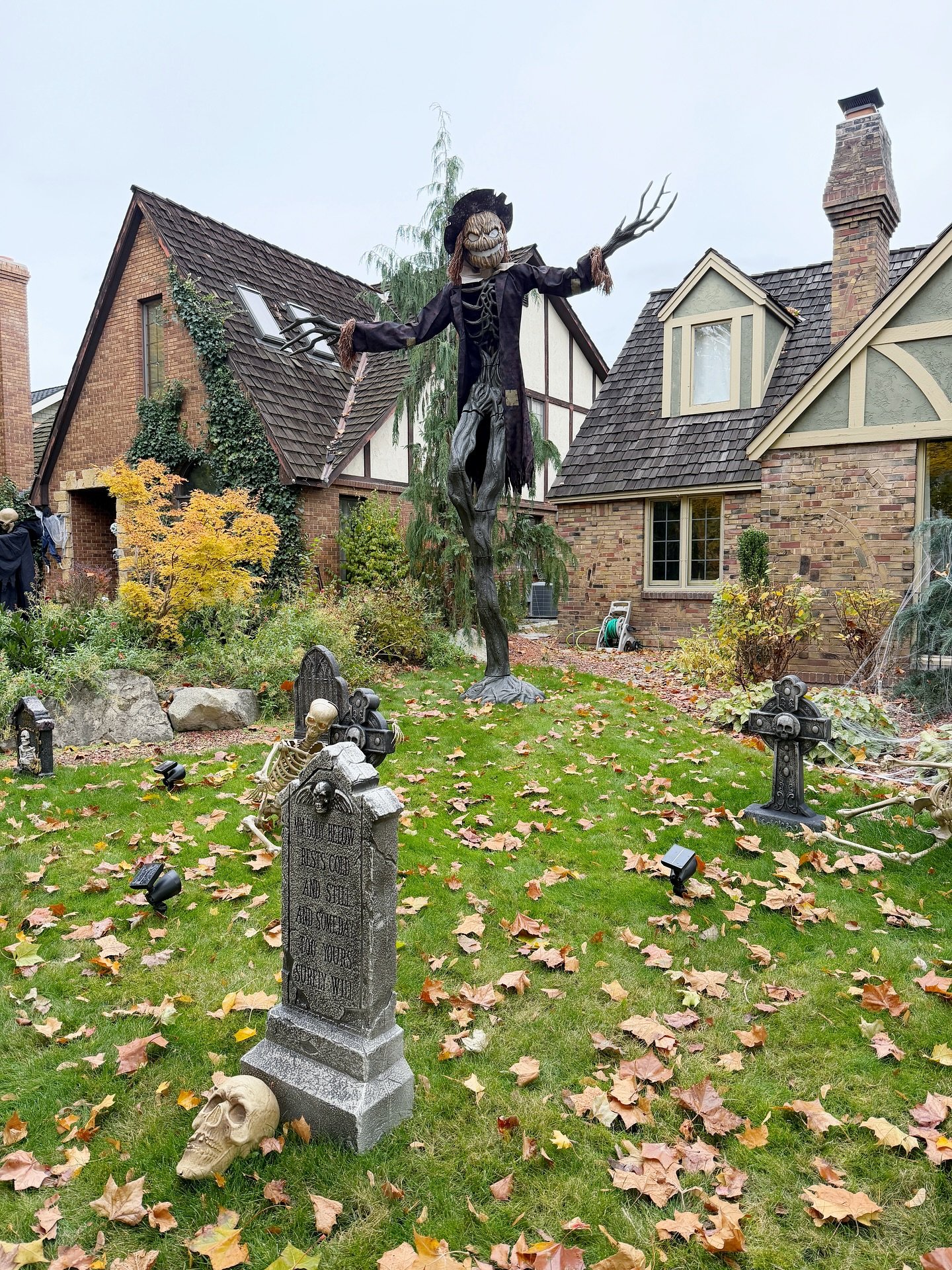 Bare Tree Scarecrow