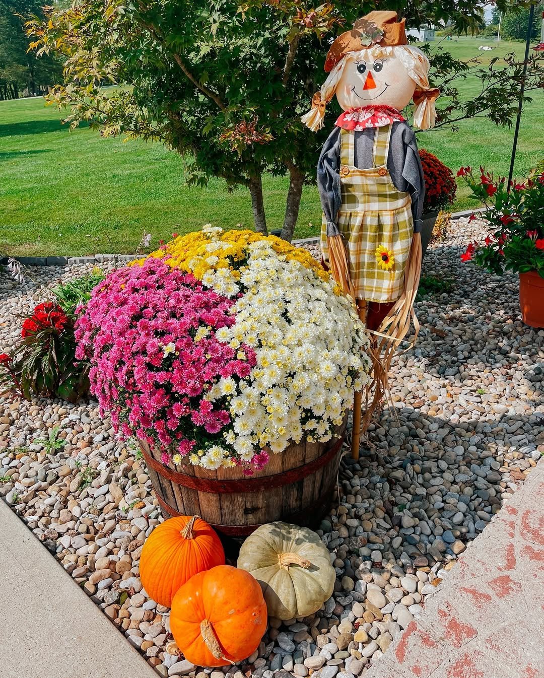 Barrel Garden with Scarecrow