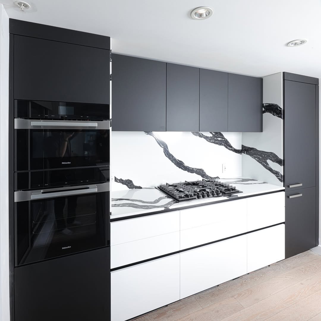 Black and White Kitchen with Matte Minimalism