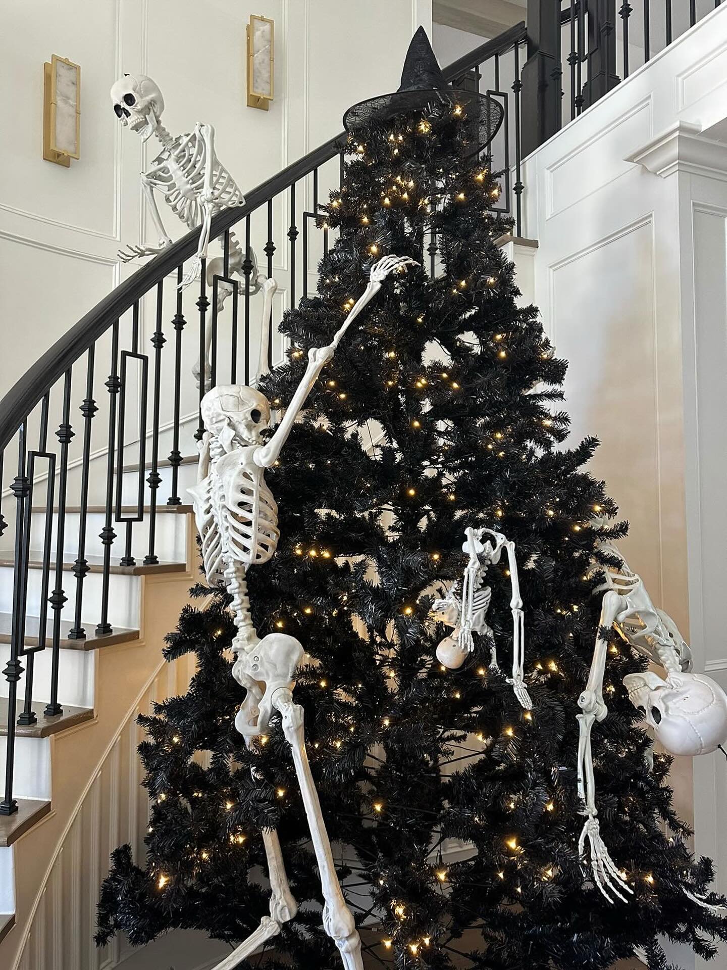 Black Tree and Skeletons