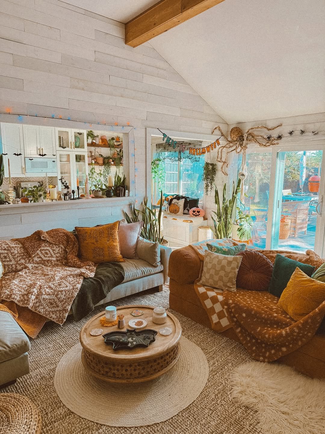 Boho Plant Filled Halloween Decor