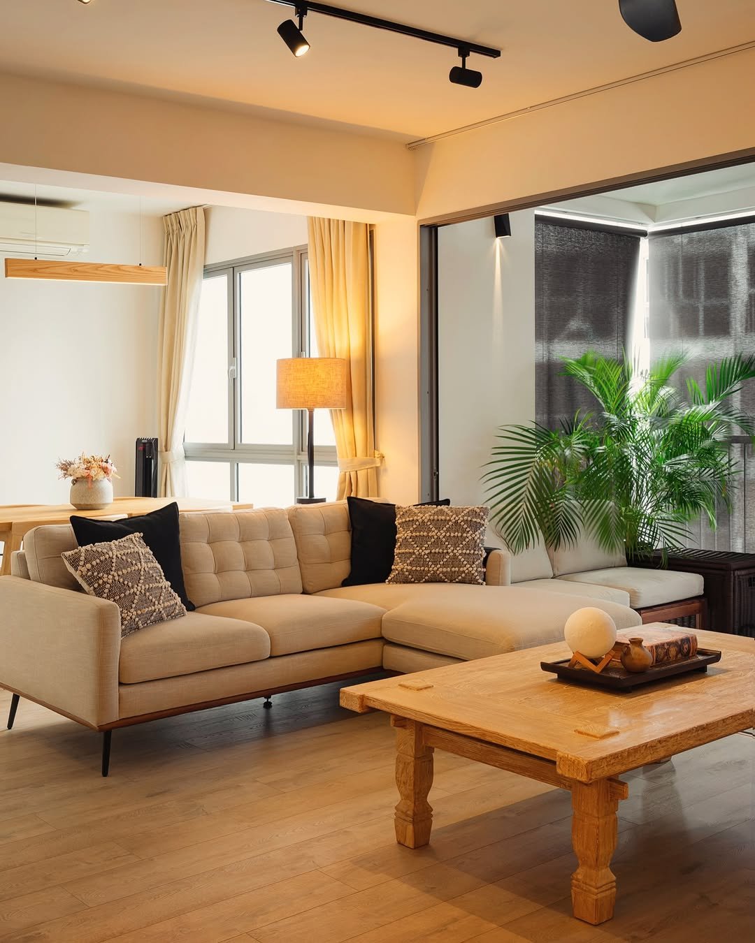 Calm Indoor Nature 8