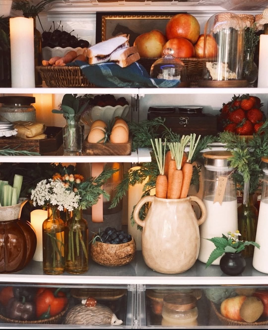 Cottagecore Fridge with a Moody Look