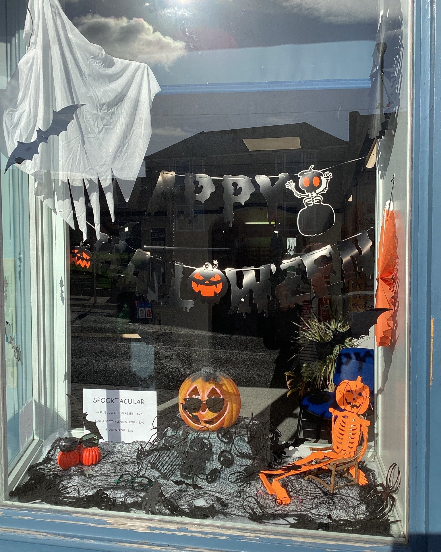 Dual-Purpose Window Display