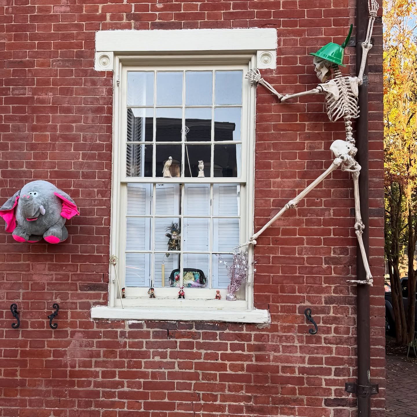 Dual-Scale Window Display