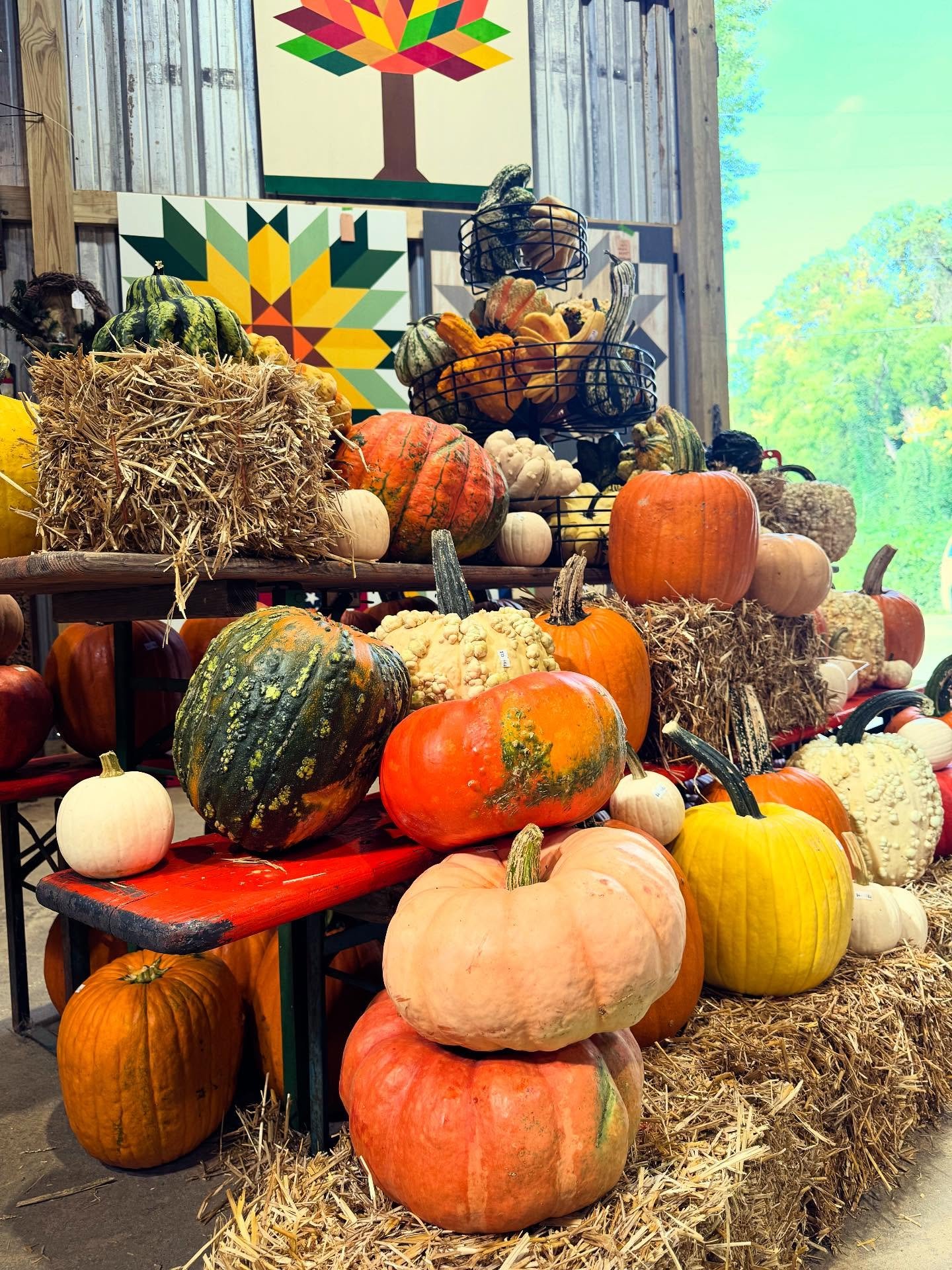 Extra Pumpkin Yard Setup