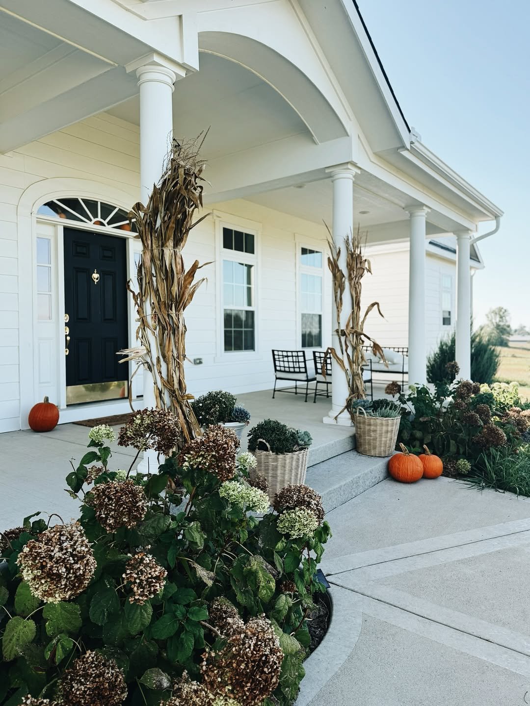 Faded hydrangeas and dried corn stalks on a harvest porch with woven baskets and a black front door