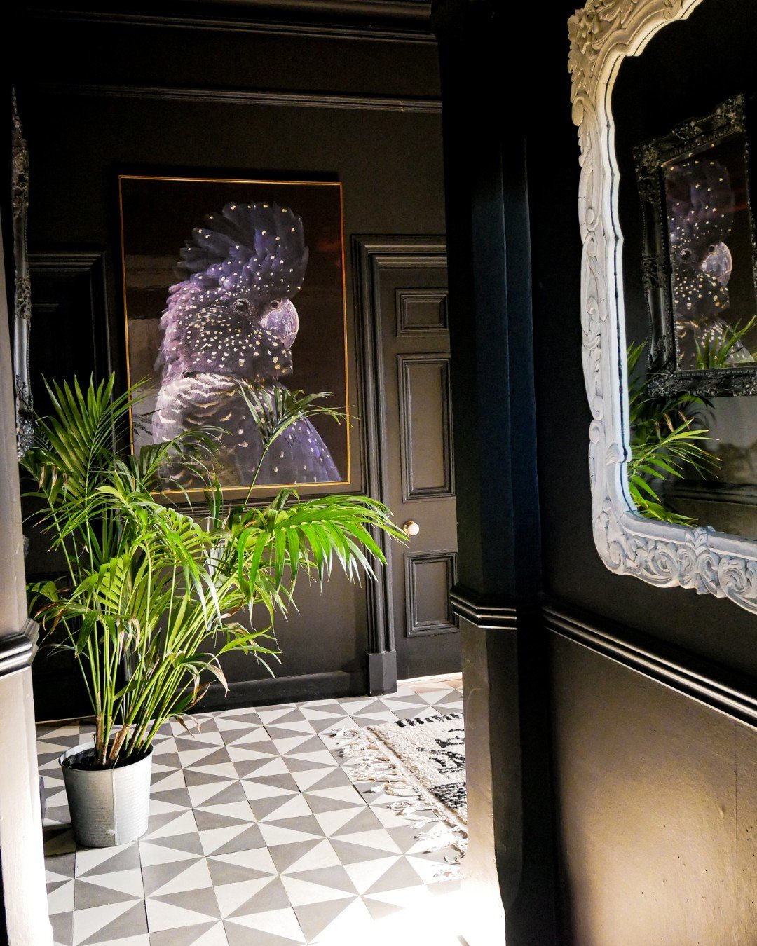 Gallery Hallway Entries With Dramatic Style 2