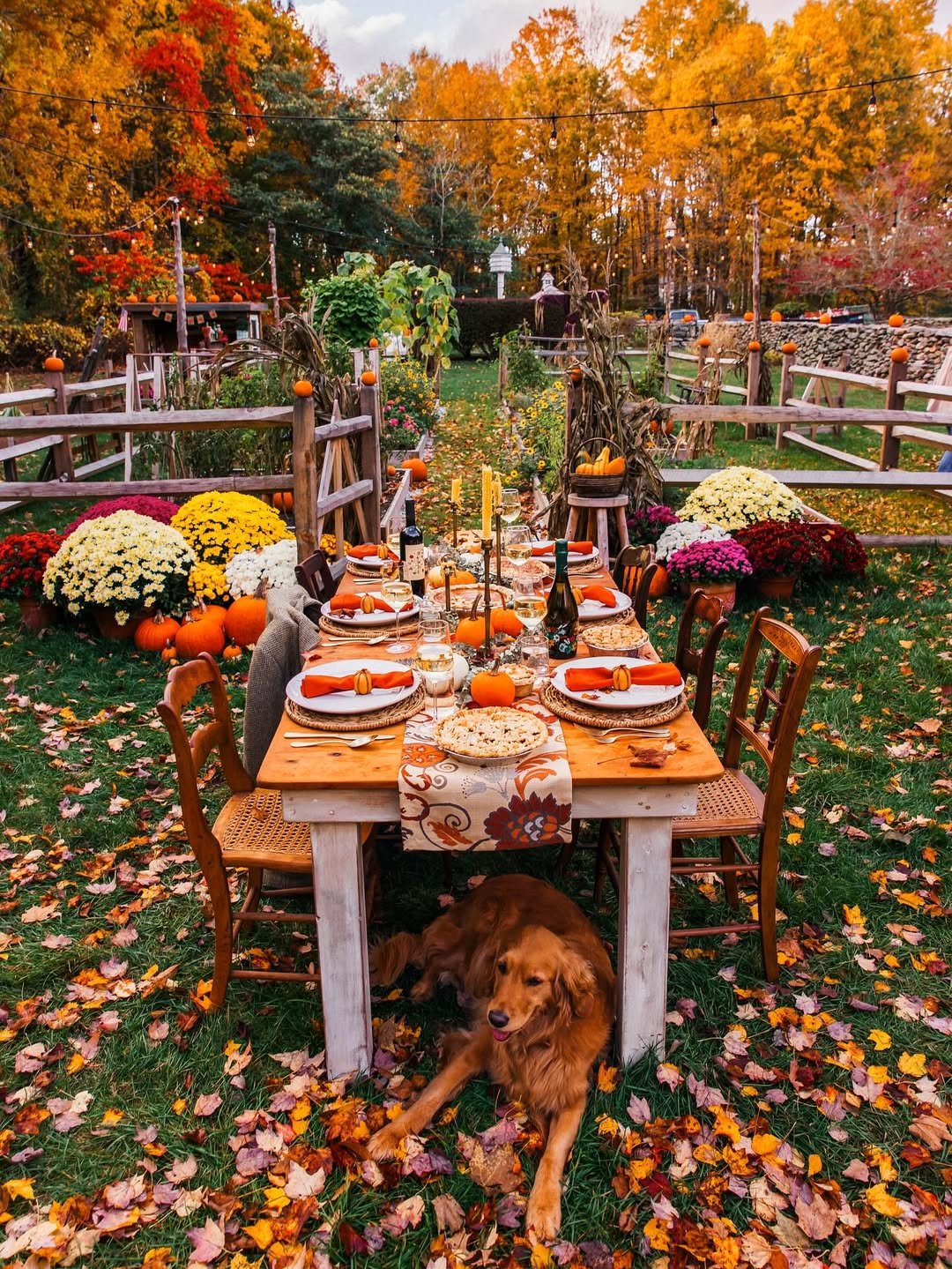 Golden Retriever Autumn Feast