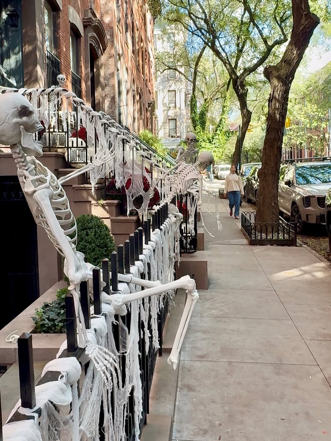 Halloween Skeleton Railing Display