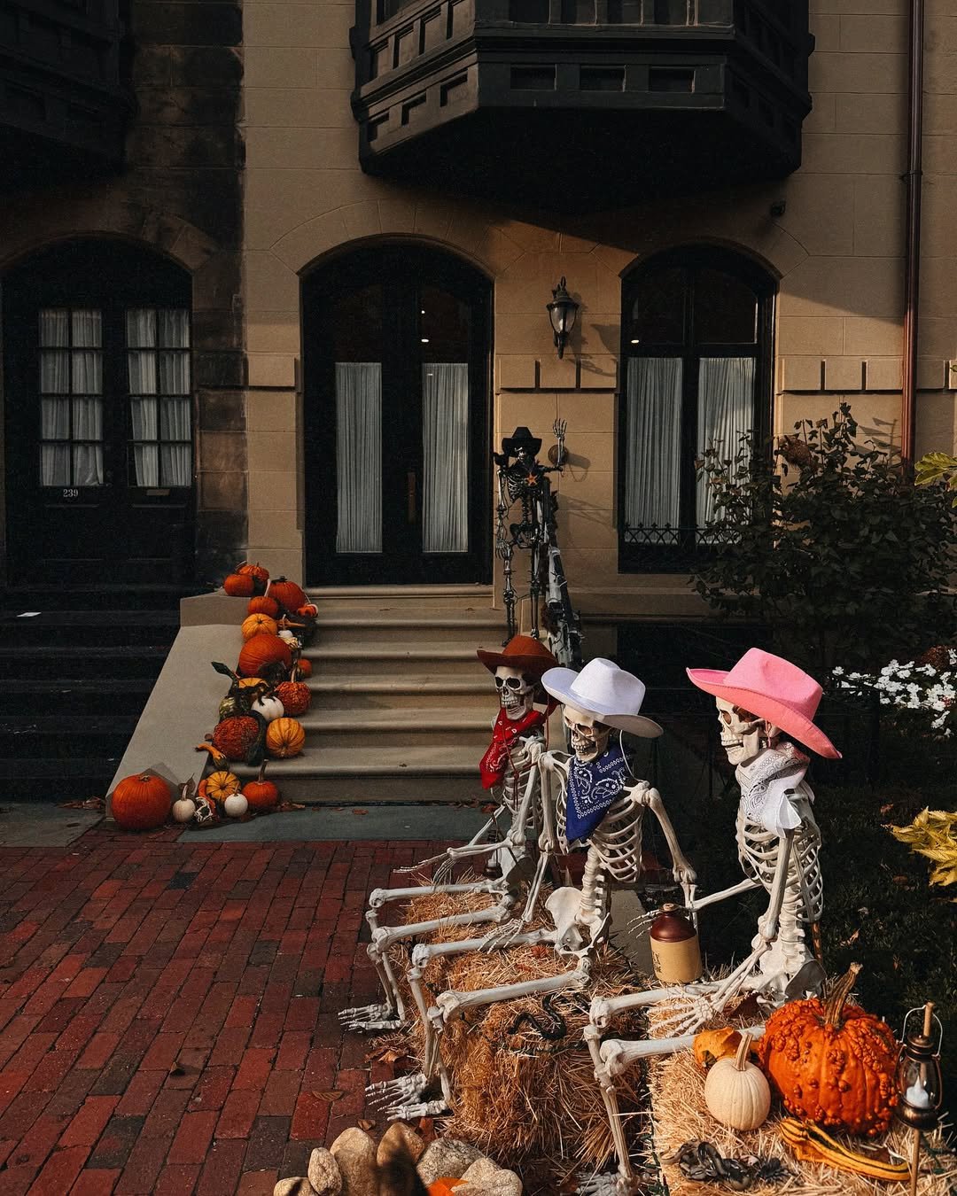 Humorous Halloween Decor
