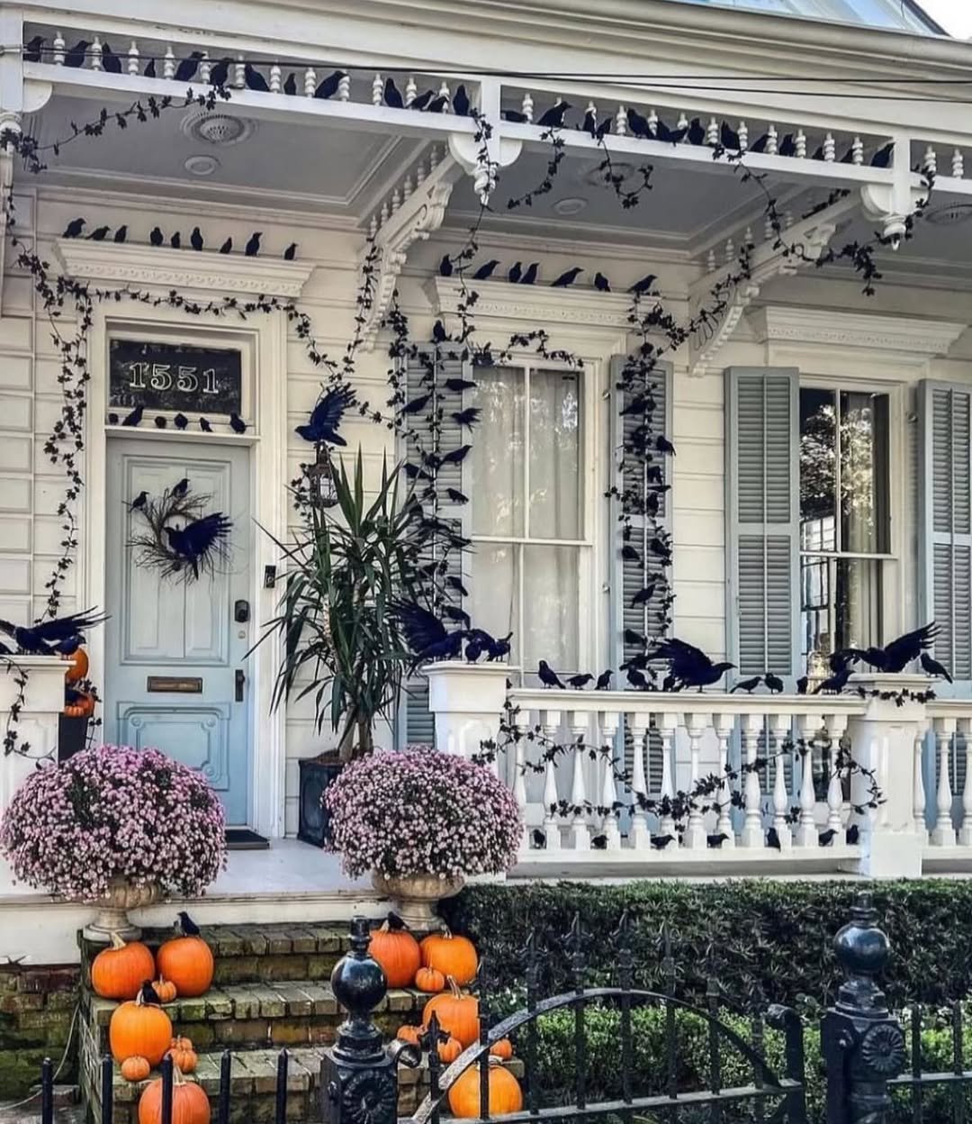 Large Flock Crow Porch Display