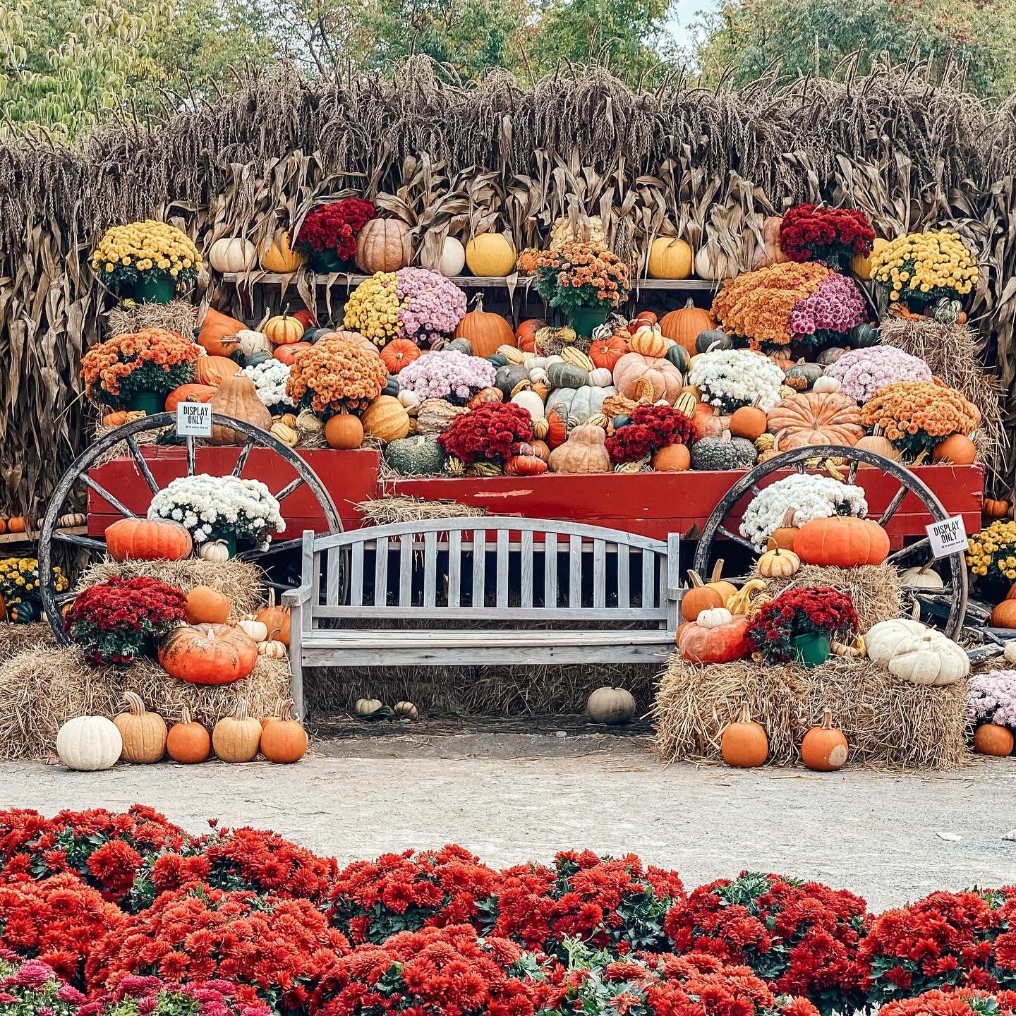 Layered Entrance Display