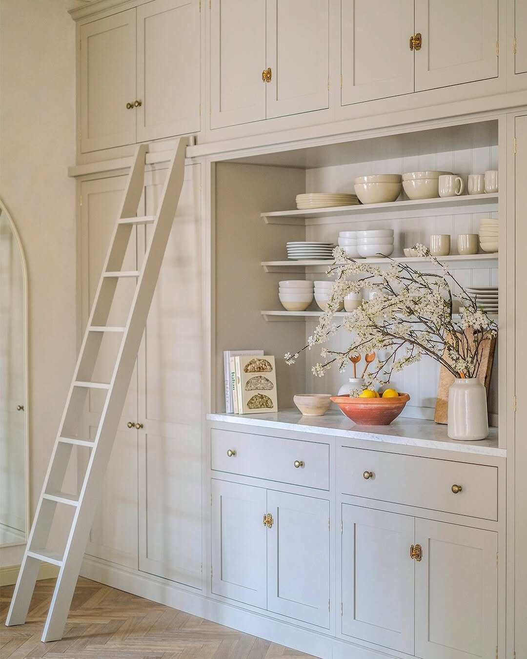 Library Ladder in the Larder
