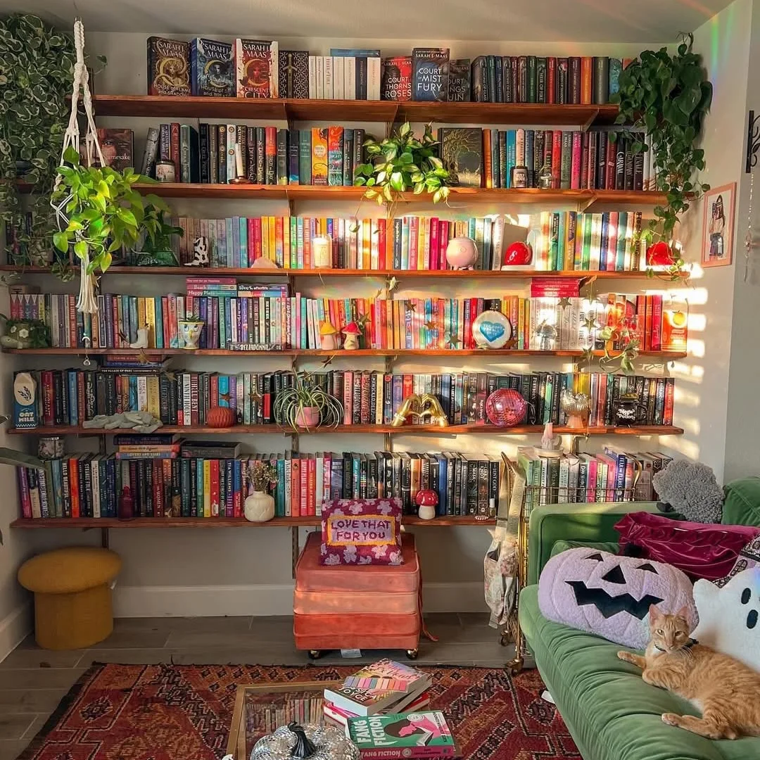 Library Wall with Rainbow Style