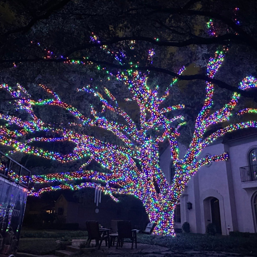 Lit Oak Tree