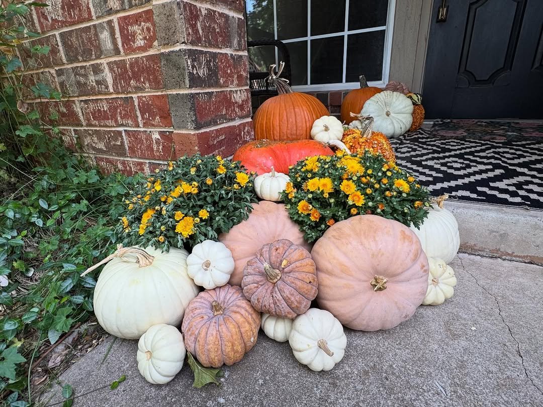 Loose Pumpkin Cluster