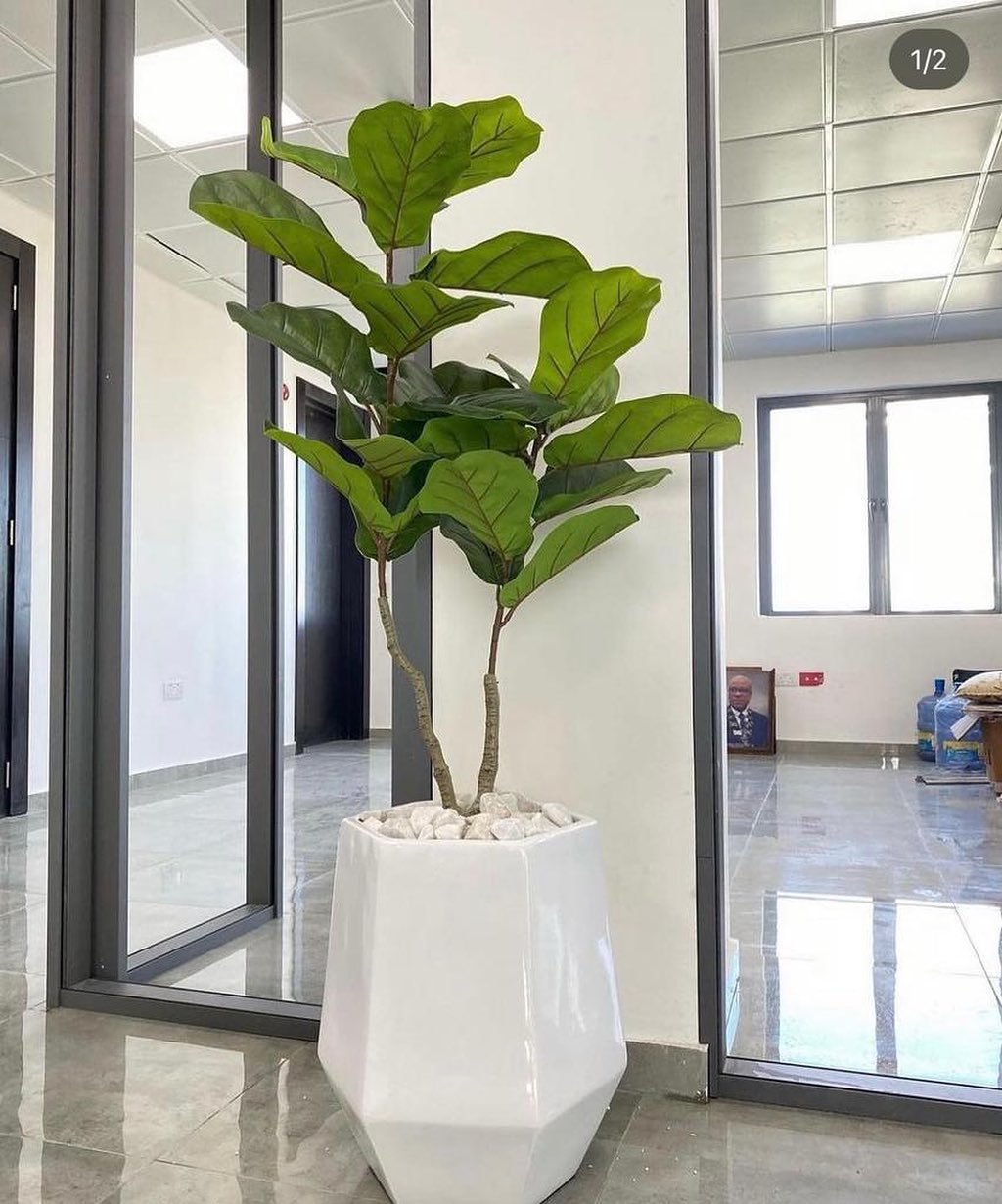 Mid-Century Plants with Jungle Styling