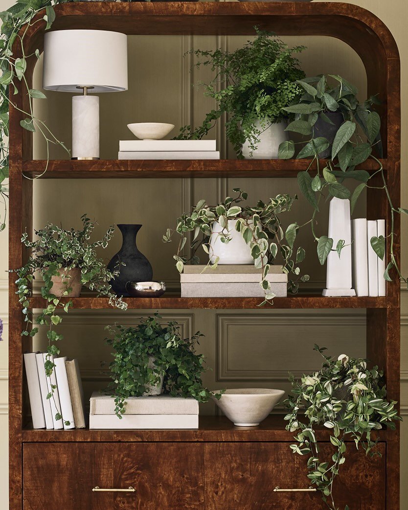 Moody Shelf Styling with Greenery
