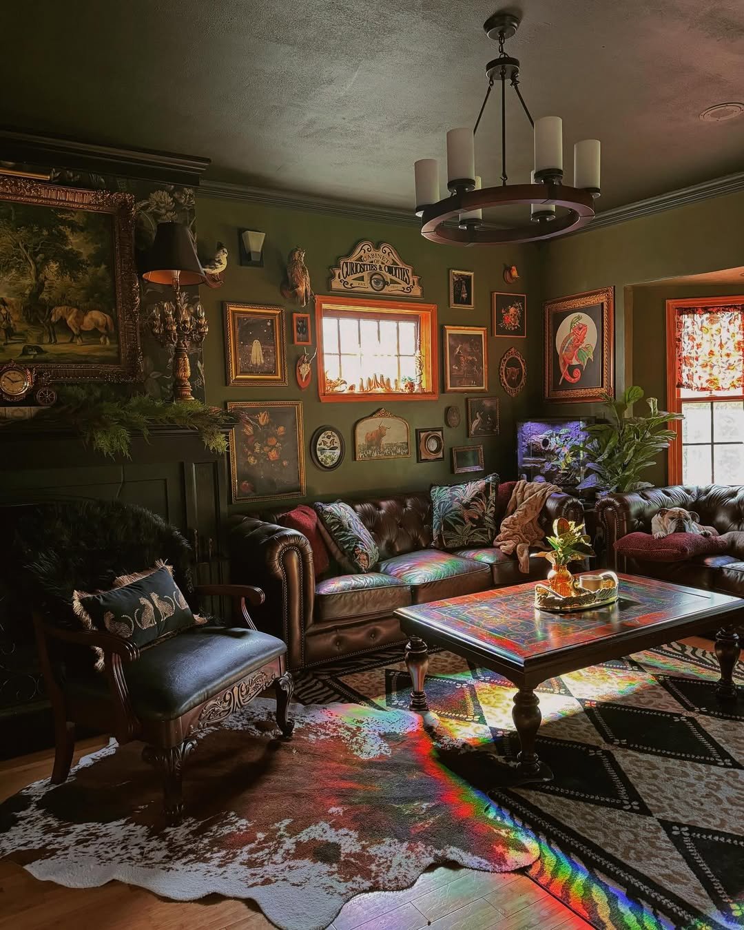 Olive Curiosity Room