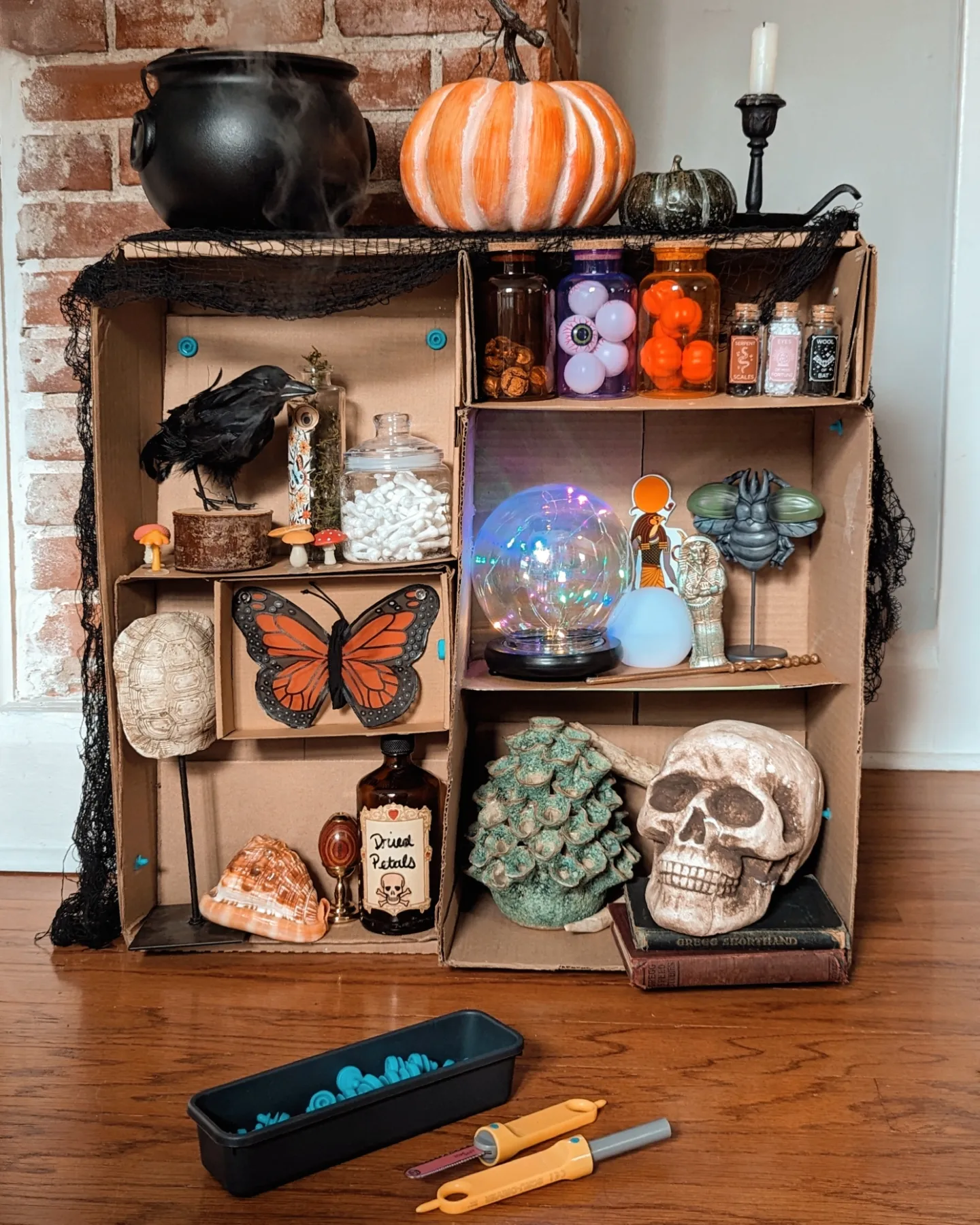 Organized Recycled Box Cabinet