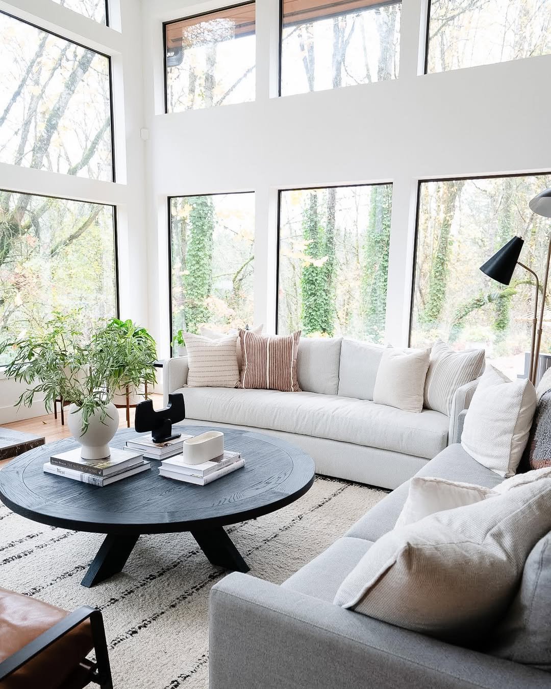 Picture Windows in a Forest