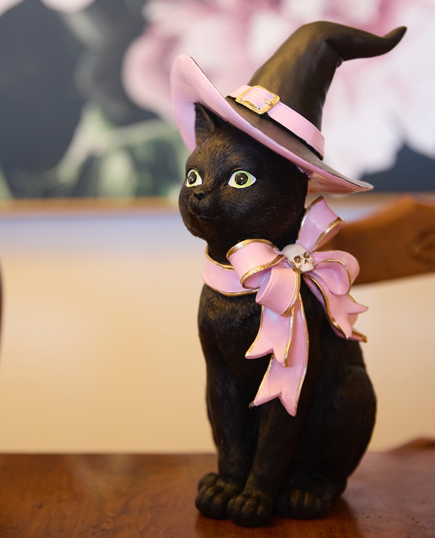 Pink Accessories for Black Cat Decor