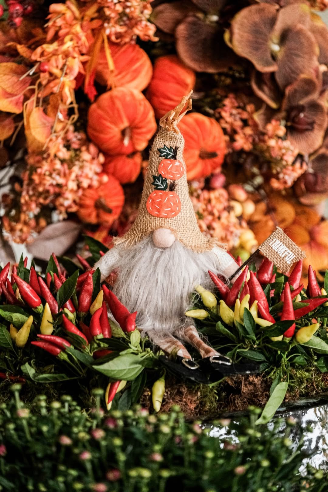 Playful Thanksgiving Harvest Detail