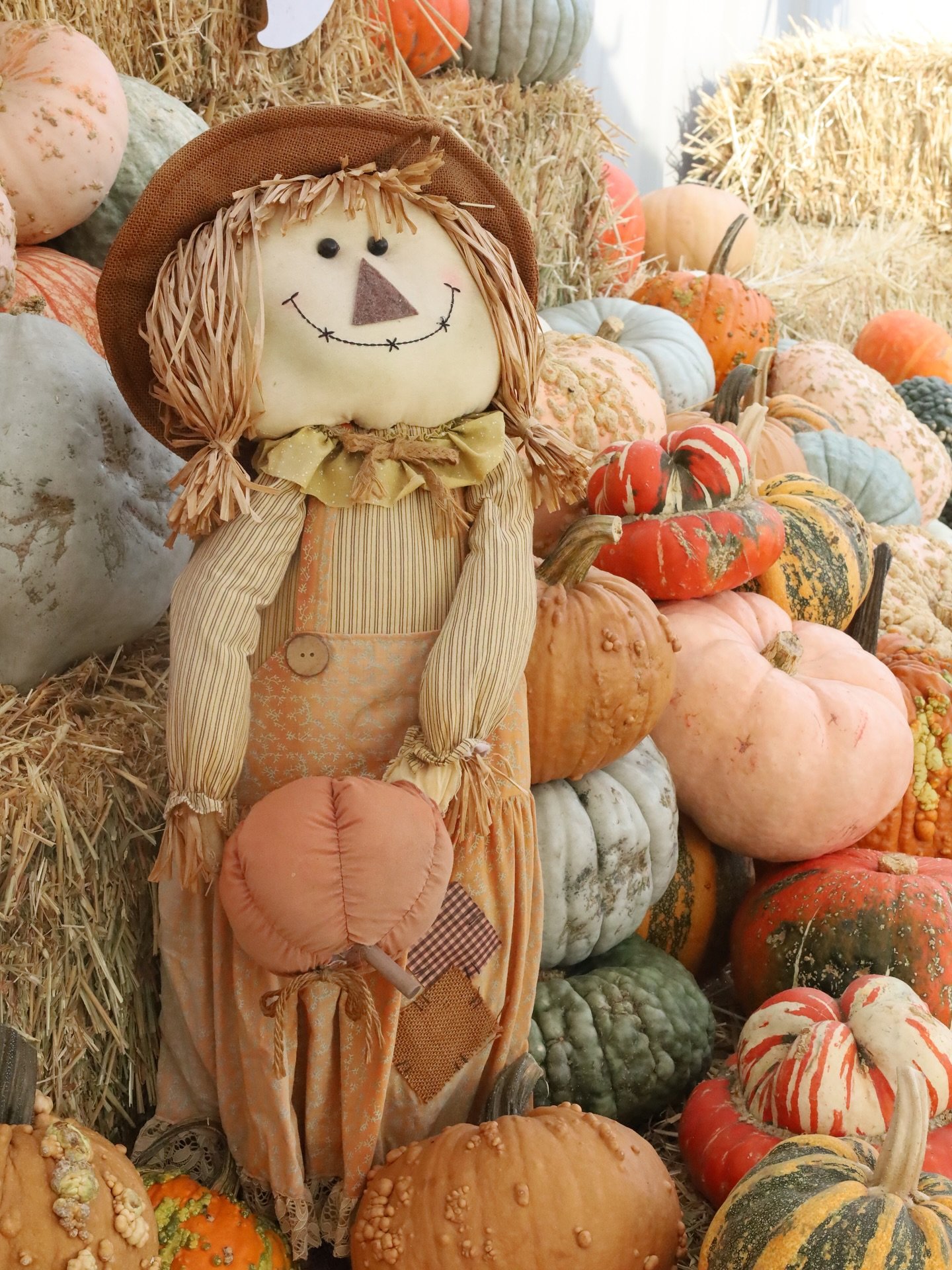 Pumpkin Pile Character Piece