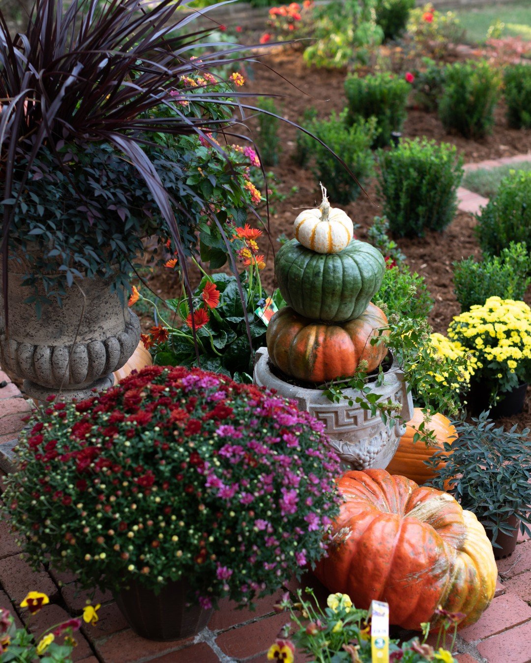 Pumpkin Stack