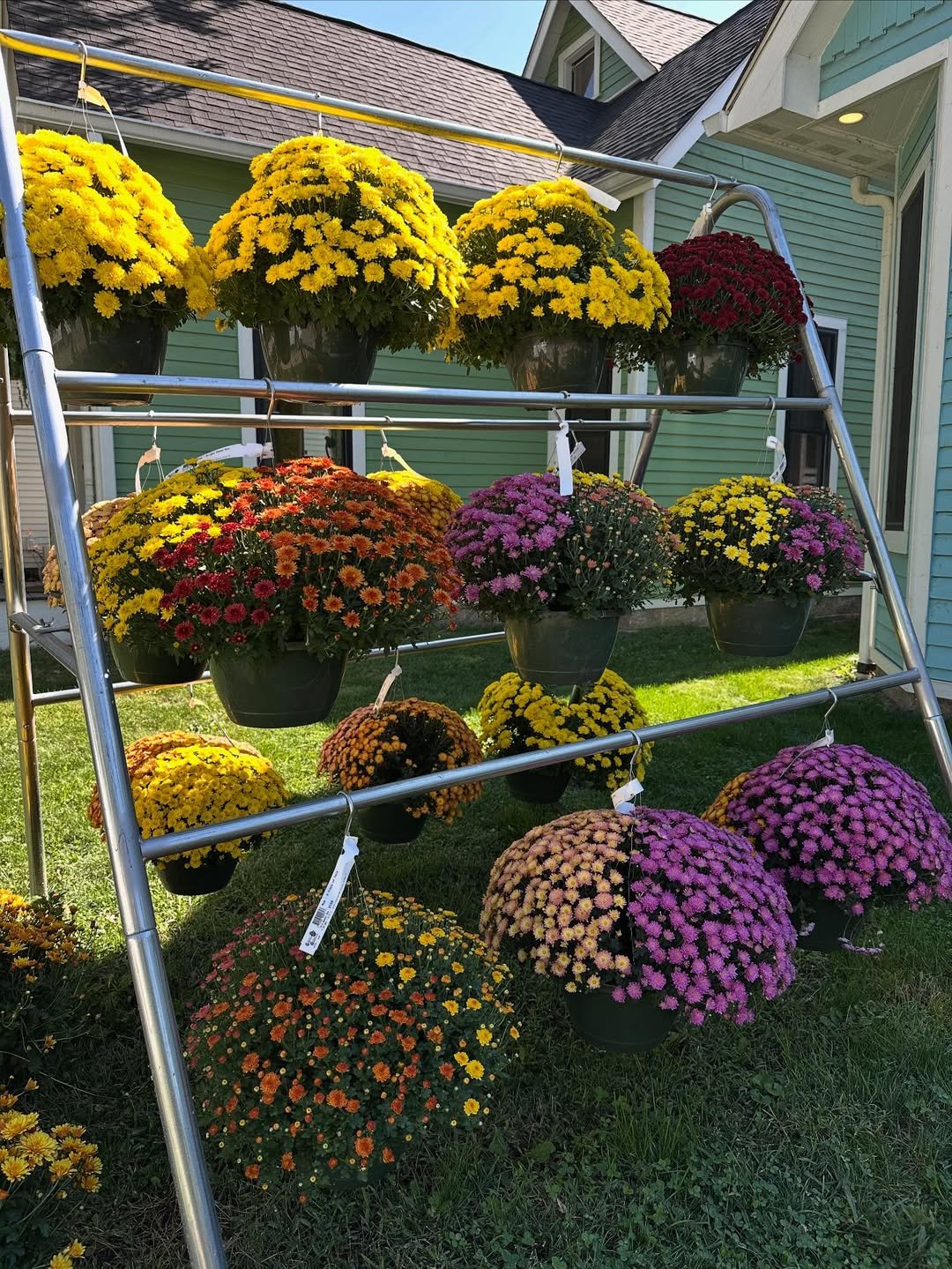 Rainbow Mum Arrangement
