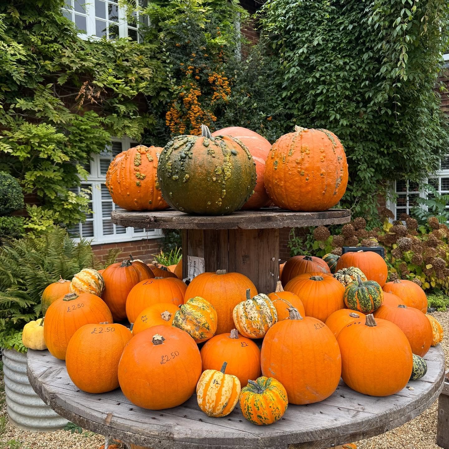 Reclaimed Pumpkin Pedestal