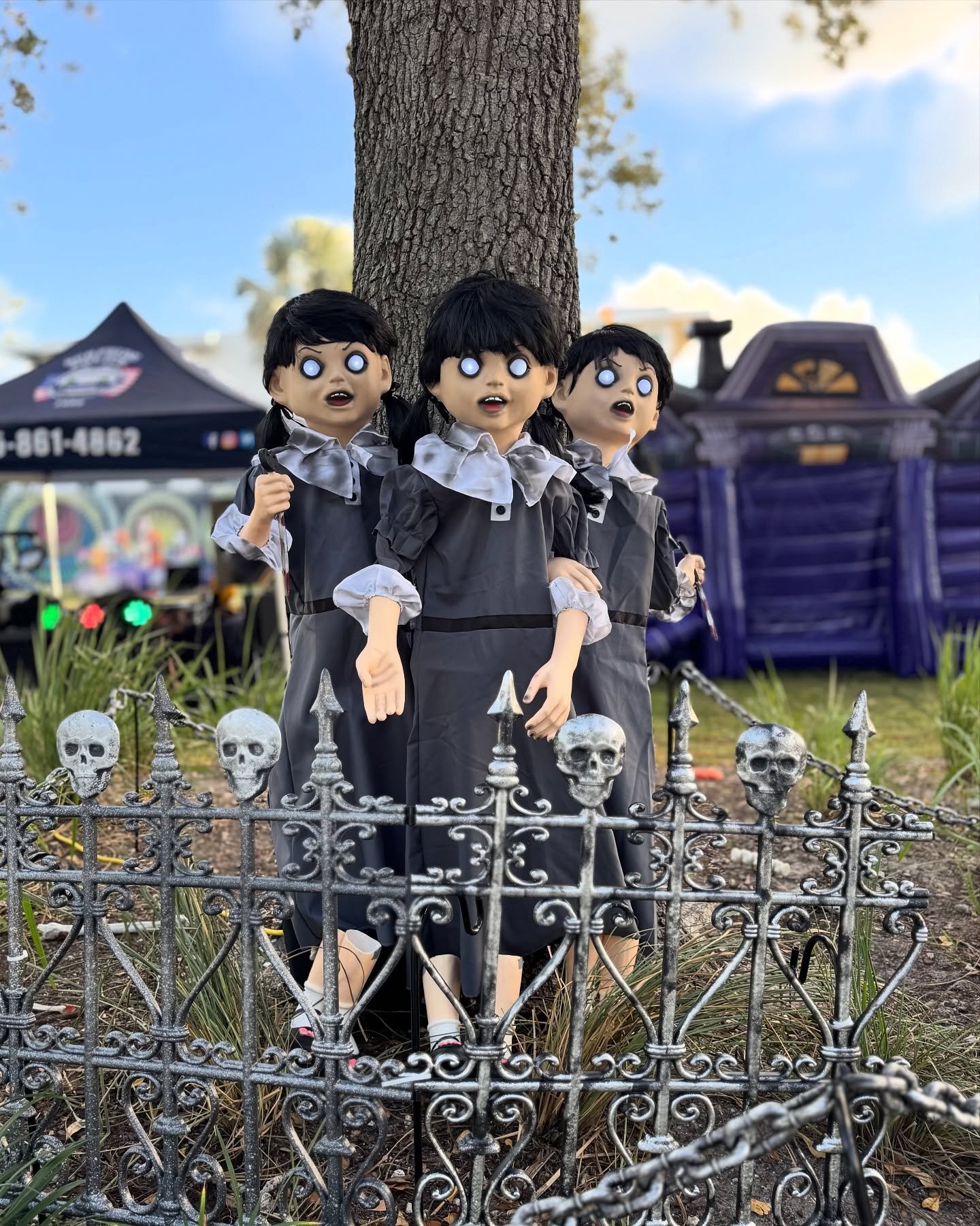 Repeated Doll Display