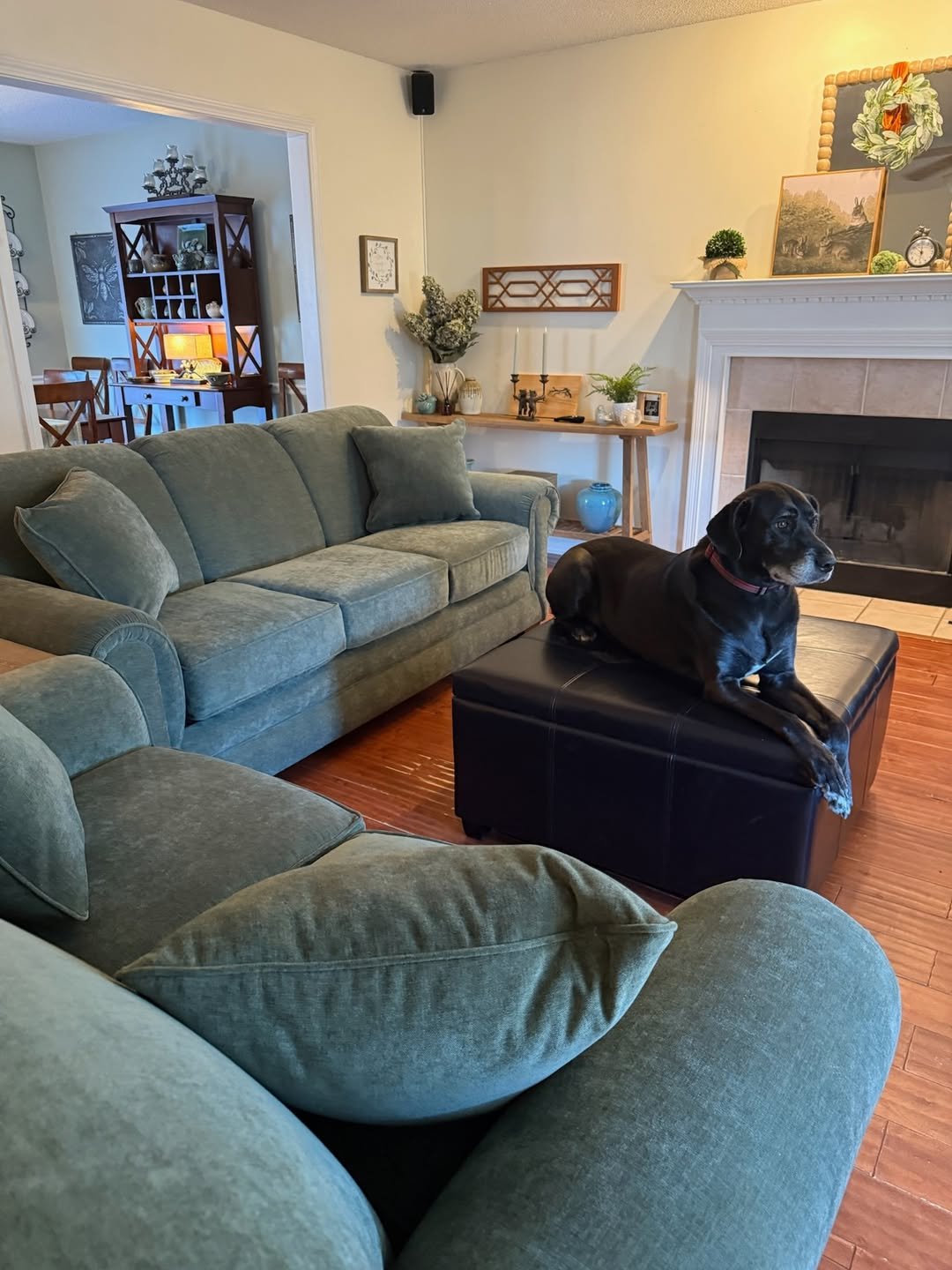 Sage Green Sofa