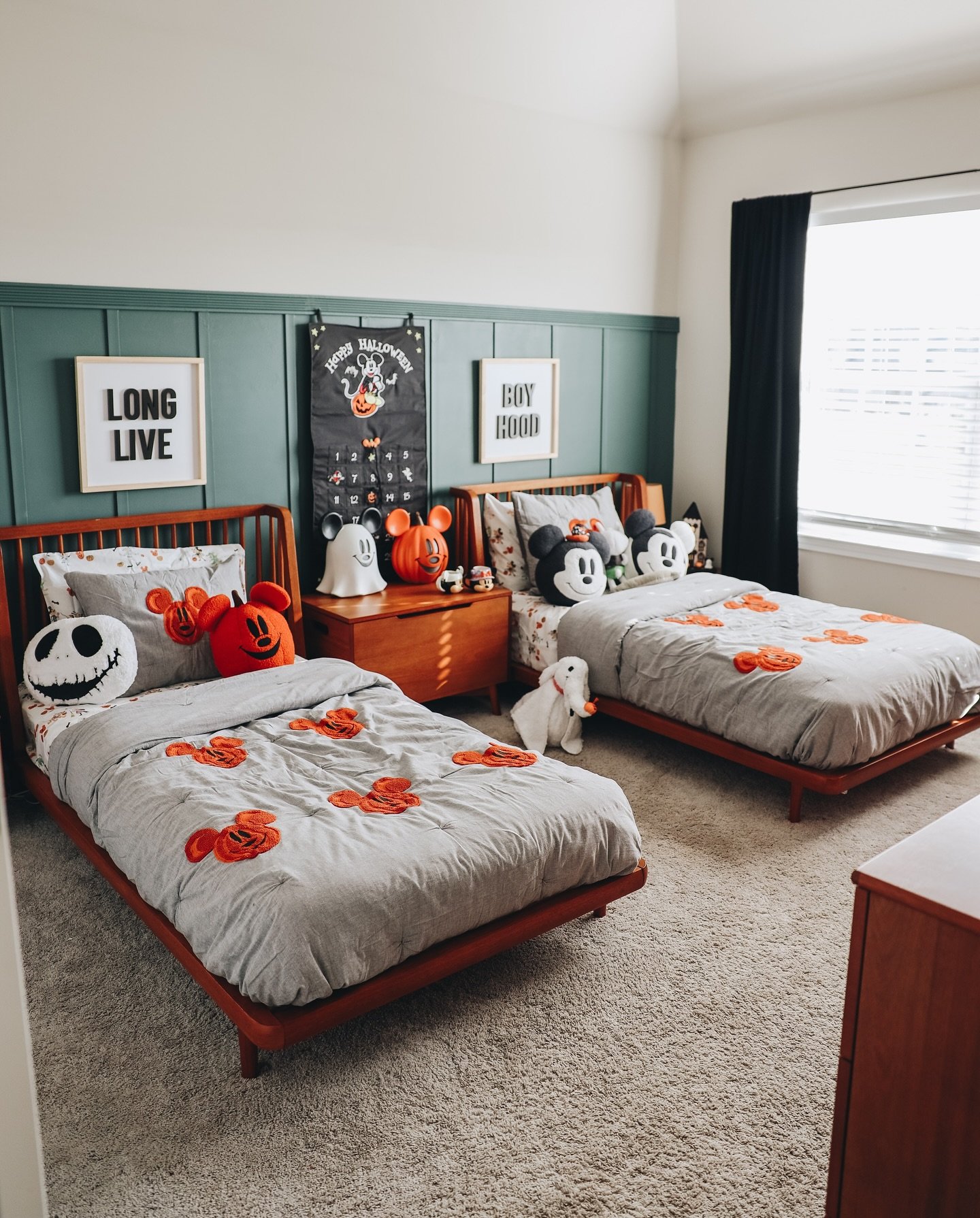 Shared Bedroom with Two Cartoon Character Beds