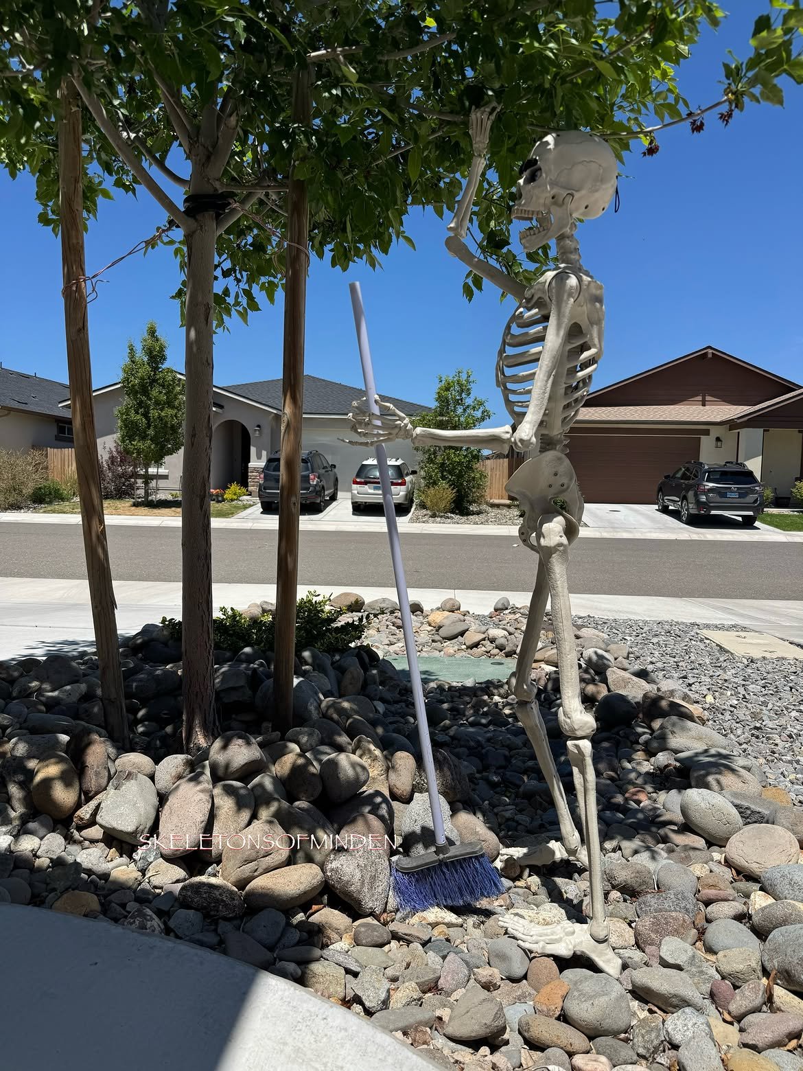 Single Skeleton Prop