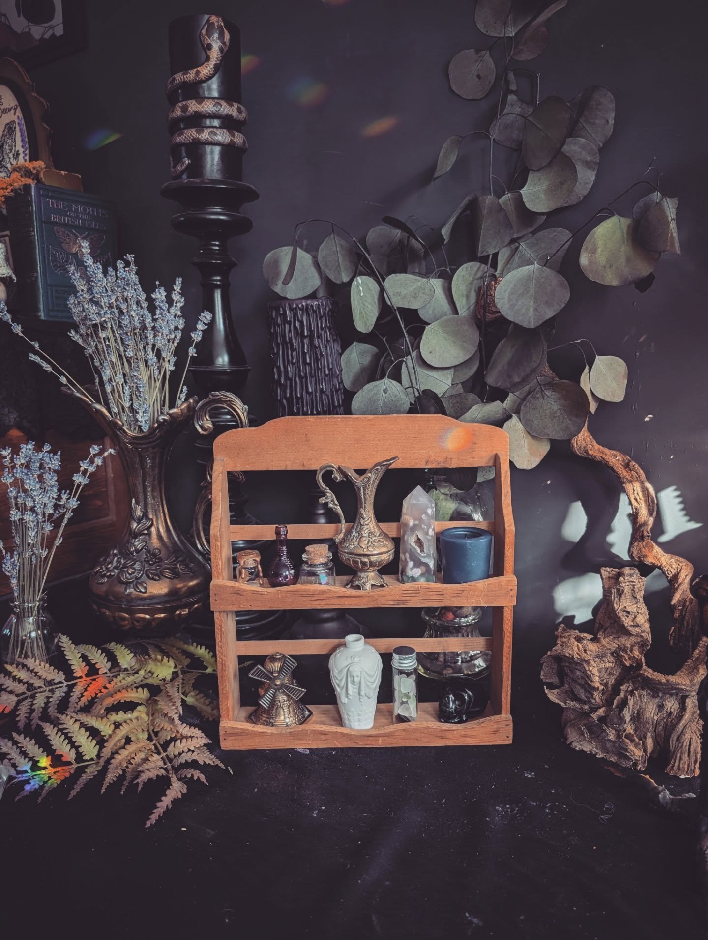 Small Apothecary Shelf with a Large Visual Mood