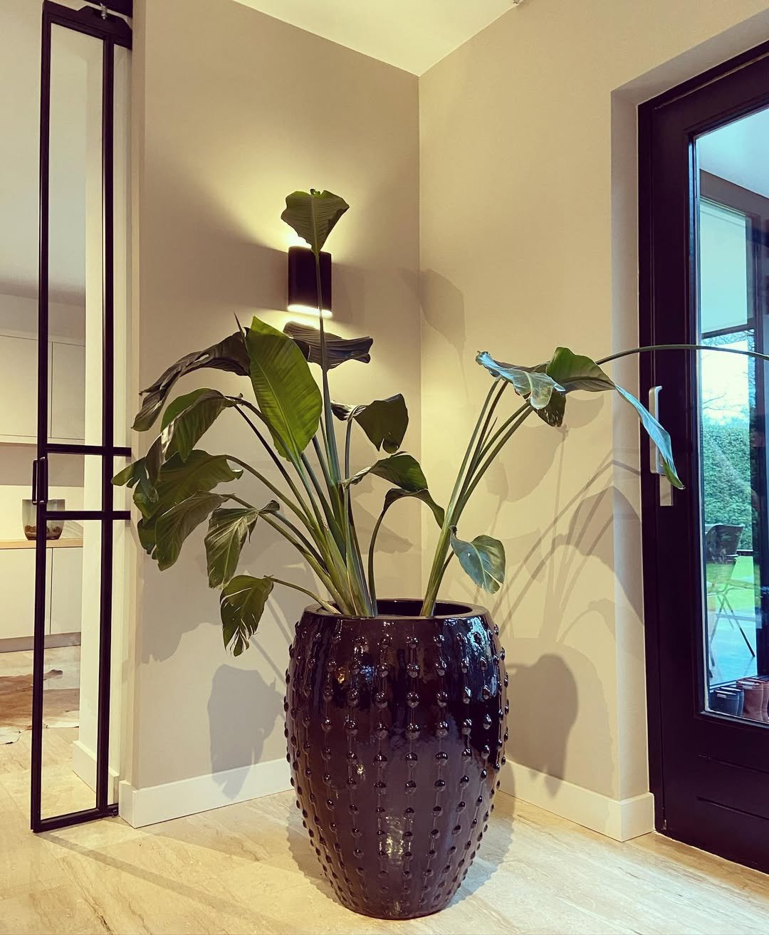 Statement Bird of Paradise