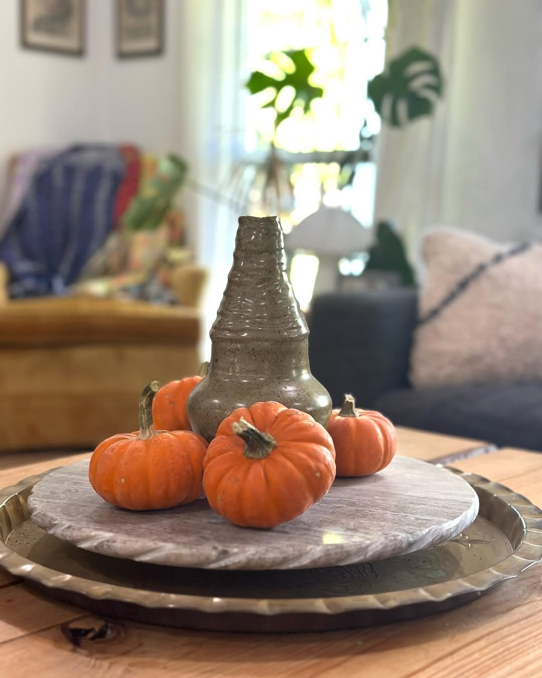Tray of Mini Pumpkins